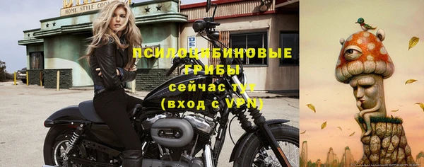 не бодяженный Арсеньев