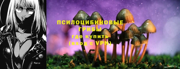 скорость Ельня