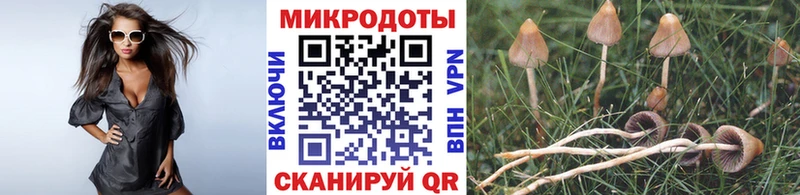 купить  цена  Кировск  Псилоцибиновые грибы ЛСД 