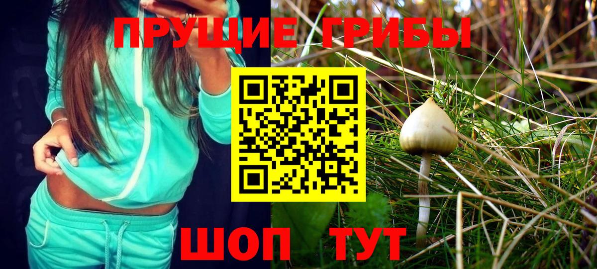 Кировск  Галлюциногенные грибы ЛСД  Вход с VPN  Псилоцибиновые грибы Psilocybe 